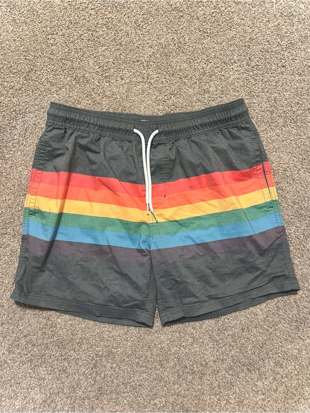 Trinity Collective Men's Dark Gray Swim Trunks with Rainbow Stripe, Size M